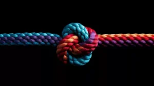 Knotted rope to represent criticality and complexity in Supply Chain processes